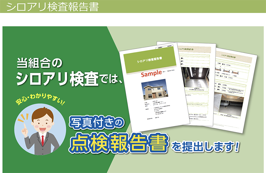 シロアリ検査報告書